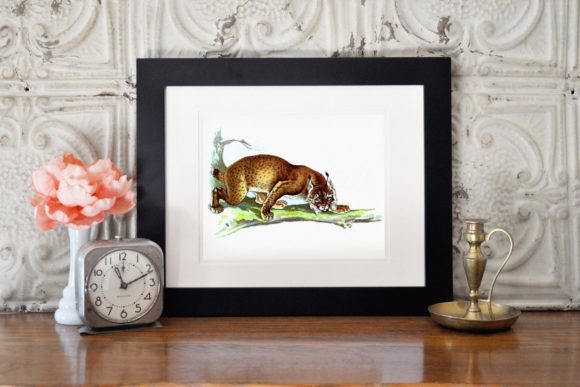 Download Vintage Lynx Print, Safari Nursery Decor - Safari nursery Collection