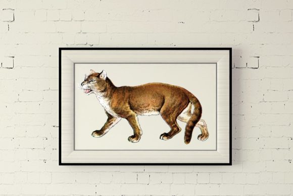 Download Vintage Puma Print Safari Nursery Decor - Safari nursery Collection