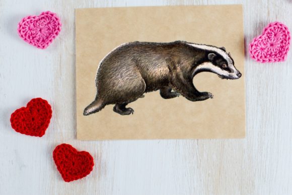 Download Vintage Bagder Print, Safari Nursery - Safari nursery Collection