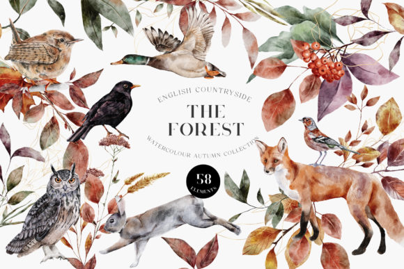 Download Autumn Forest Animals Watercolor PNG - Autumn Collection